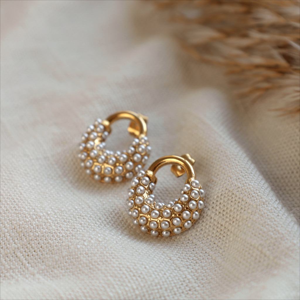 Alicia earrings 💧